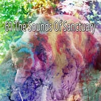 61 The Sounds of Sanctuary