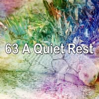 63 A Quiet Rest