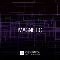 Magnetic