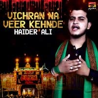 Vichran Na Veer Kehnde - Single