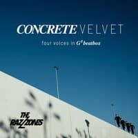 Concrete Velvet