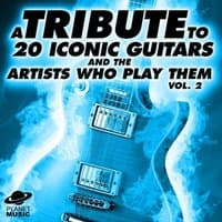 A Tribute to 20 Iconic Guitars and the Artists Who Play Them, Vol. 2