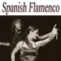 Flamenco 4