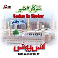 Sarkar Ka Sheher Vol. 12 - Islamic Naats