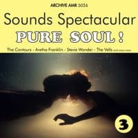 Sounds Spectacular: Pure Soul ! Volume 3