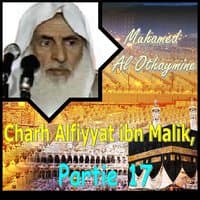 Charh Alfiyyat ibn Malik, Partie 17