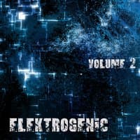 ELEKTROGENIC, Vol. 2