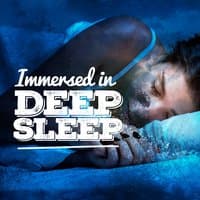 Immersed in Deep Sleep