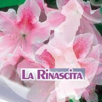 Musica per la rinascita