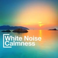 White Noise Calmness