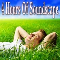 4 Hours of Soundscape: Relaxation and Meditation Music with Nature Sounds