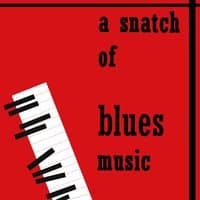 A Snatch of Blues Music, Vol.1