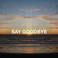 Say Goodbye