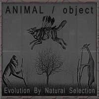 Evolution by Natural Selection