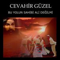 Bu Yolun Sahibi Ali Değilmi