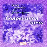 Соловьиная ночь