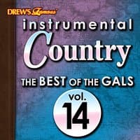 Instrumental Country: The Best of the Gals, Vol. 14