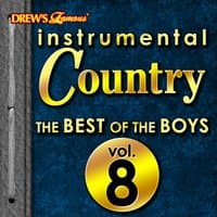 Instrumental Country: The Best of the Boys, Vol. 8