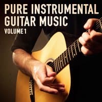 Pure Instrumental Guitar Music, Vol. 1