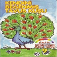 Kendini Beğenmiş Tavus Kuşu