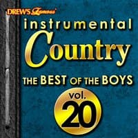 Instrumental Country: The Best of the Boys, Vol. 20