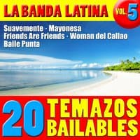 20 Temazos Bailables Vol. 5