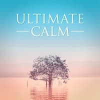 Ultimate Calm (Relaxing Music to Chill Out)