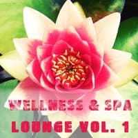 Wellness & Spa Lounge, Vol. 1