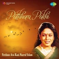 Pathhara Pakhi