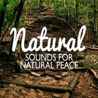 Natural Sounds for Natural Peace