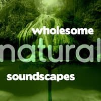 Wholesome Natural Soundscapes