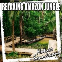 Relaxing Amazon Jungle (Nature Sounds)