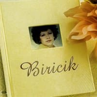 Biricik