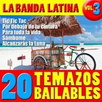 20 Temazos Bailables Vol. 3