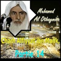 Charh Alfiyyat ibn Malik, Partie 14