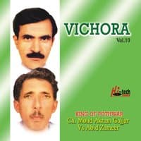 Vichora Vol. 10 - Pothwari Ashairs