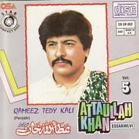 Qameez Tedy Kali