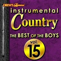 Instrumental Country: The Best of the Boys, Vol. 15