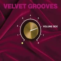 Velvet Grooves Volume Sex!