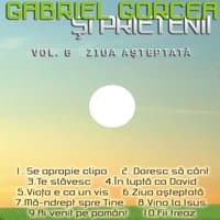 Gabriel Gorcea, Vol. 6