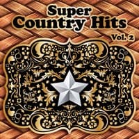 Super Country Hits, Vol. 2