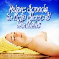 Nature Sounds to Help Sleep and Meditate