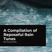 A Compilation of Reposeful Rain Tunes