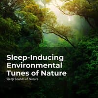 Sleep-Inducing Environmental Tunes of Nature