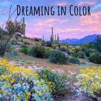 Dreaming in Color