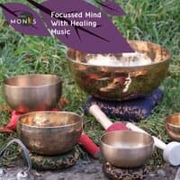 Focussed Mind With Healing Music