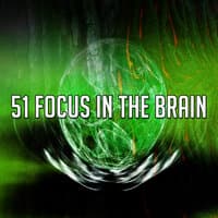 51 Focus in the Brain