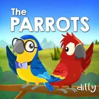 Parrots