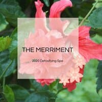 The Merriment - 2020 Detoxifying Spa