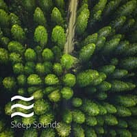 Sleeping Helpers Sounds